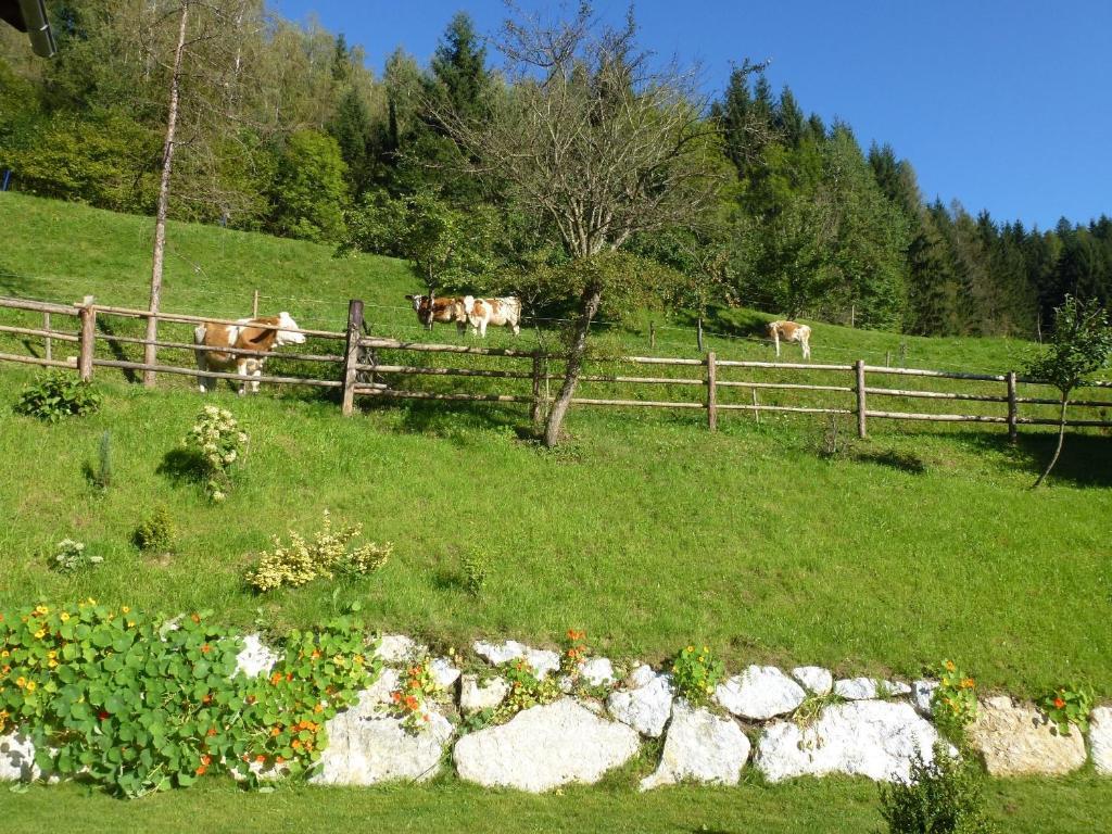 Pension Ehrenfried - Hotel Garni Kindberg Zewnętrze zdjęcie